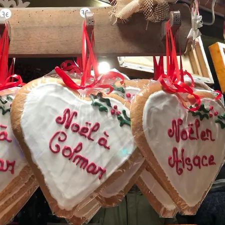 Djokovic's Кольмар