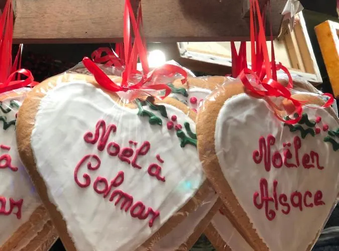 Djokovic's 科尔马